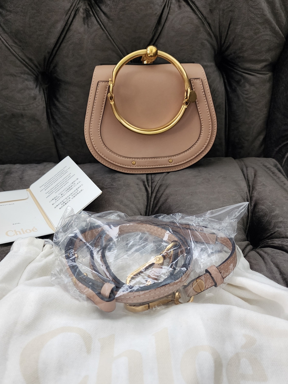 Chloe Small Crossbody Bag in Nude Pink with Gold Handles